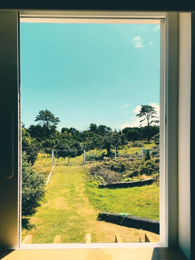 Quinta Das Almas São Roque do Pico Esterno foto
