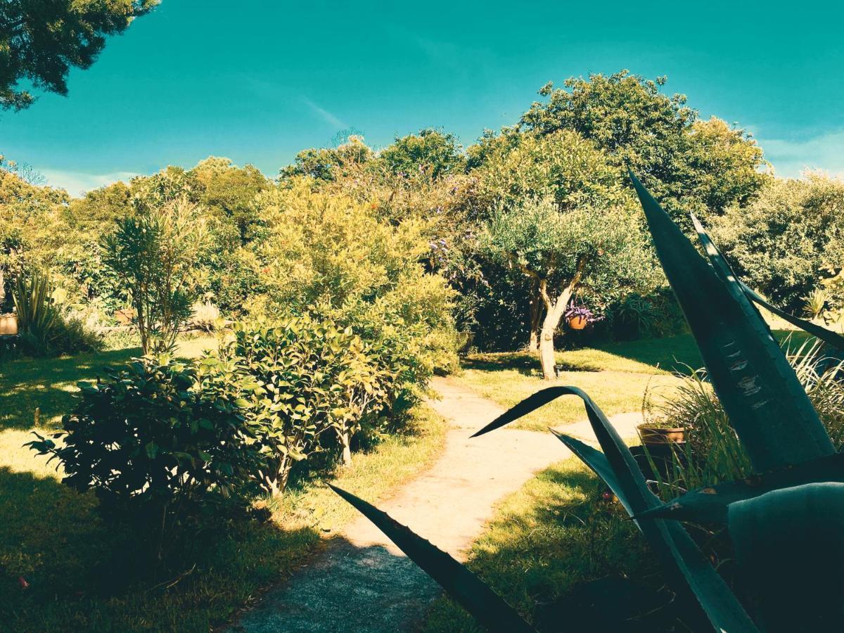 Quinta Das Almas São Roque do Pico Esterno foto