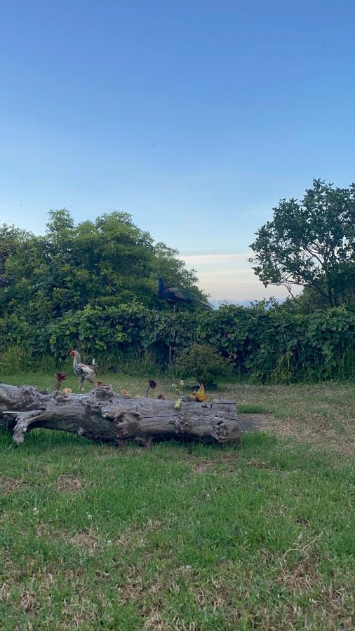 Quinta Das Almas São Roque do Pico Esterno foto