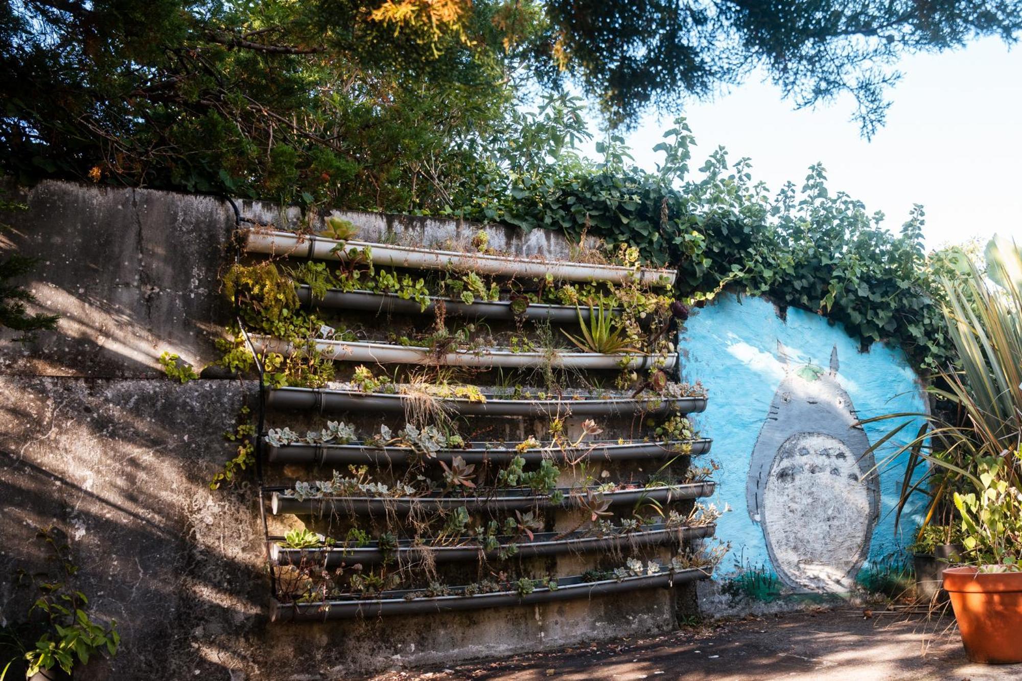 Quinta Das Almas São Roque do Pico Esterno foto
